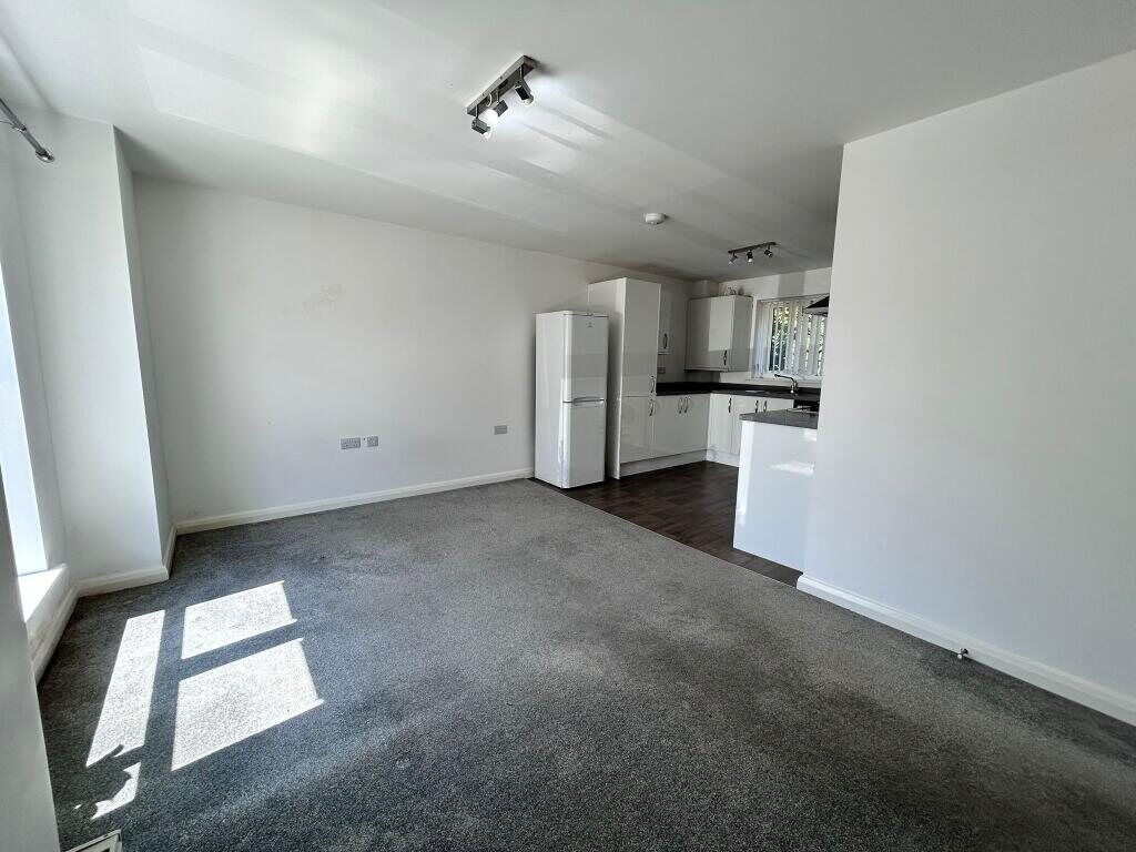 Open-plan living area and kitchen